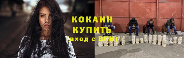прущие грибы Богданович