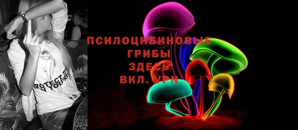 СК Богородицк