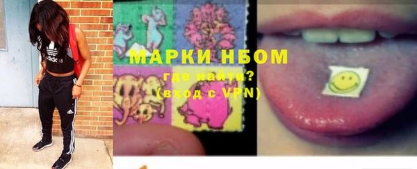 прущие грибы Богданович
