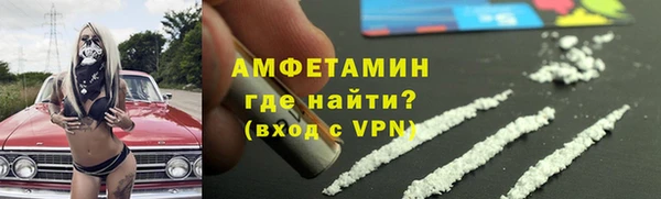 прущие грибы Богданович