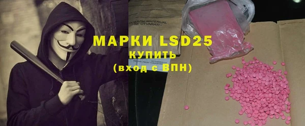 прущие грибы Богданович