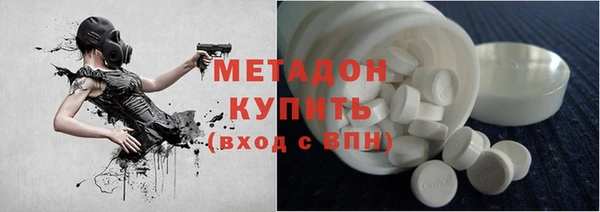 прущие грибы Богданович