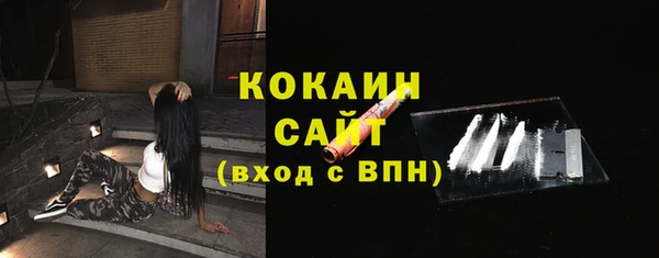 прущие грибы Богданович