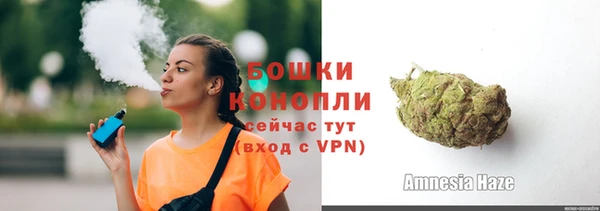 прущие грибы Богданович