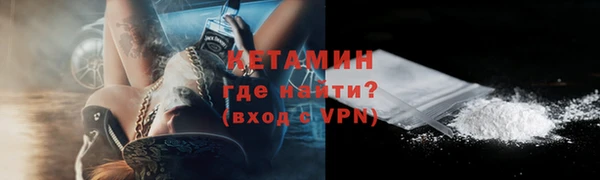 прущие грибы Богданович