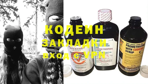 прущие грибы Богданович