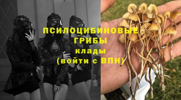 круглые Белокуриха