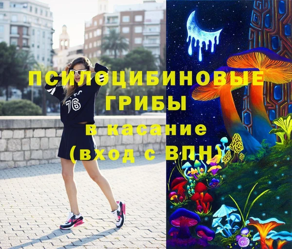 скорость Богородск