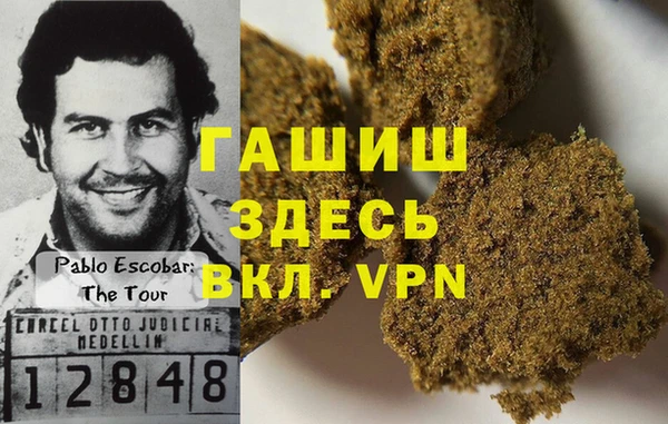 прущие грибы Богданович