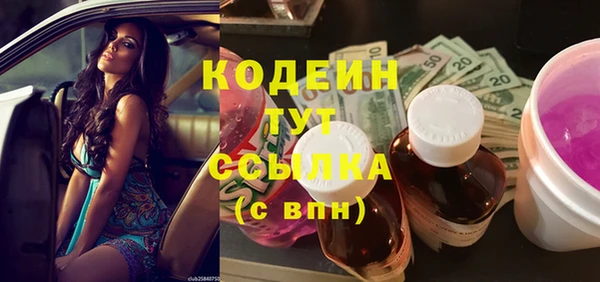 прущие грибы Богданович