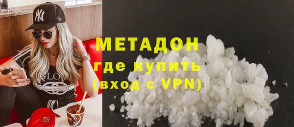 прущие грибы Богданович