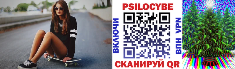 Псилоцибиновые грибы Psilocybe  mega tor  Медынь 